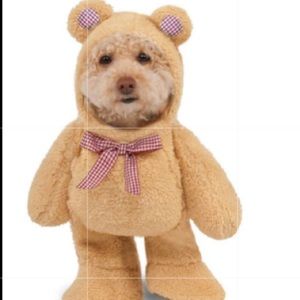 Dog Halloween Teddy Bear Costume NWT SIze Small